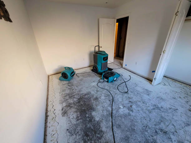 Best Carpet water damage restoration  in Wickliffe, OH