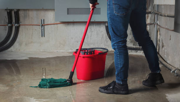 Best Basement water damage restoration  in Wickliffe, OH